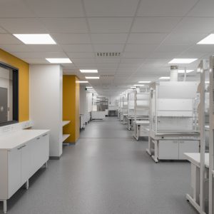 Medisiina D, laboratorio